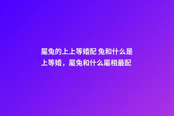 屬兔的上上等婚配 兔和什么是上等婚，屬兔和什么屬相最配-第1張-觀點-玄機派